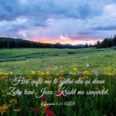 Picture 03 - Efesianëve 6:24 ALB - Hiri qoftë me të gjithë ata që duan Zotin - Bible Verse Picture