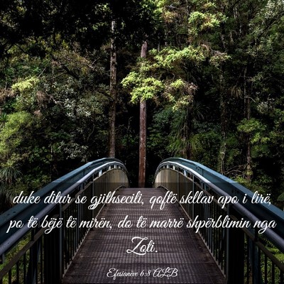 Picture 03 - Efesianëve 6:8 ALB - duke ditur se gjithsecili, qoftë skllav apo i - Bible Verse Picture