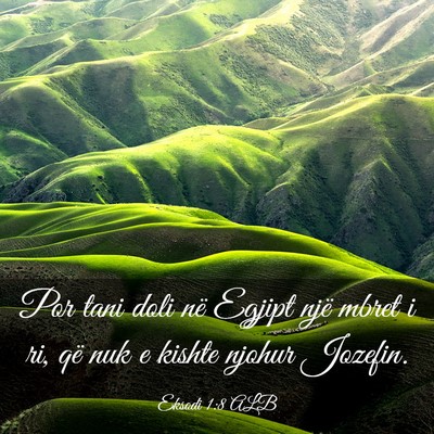 Picture 03 - Eksodi 1:8 ALB - Por tani doli në Egjipt një mbret i ri, që nuk - Bible Verse Picture