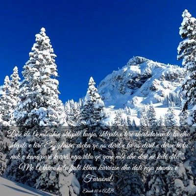 Picture 03 - Eksodi 10:6 ALB - Dhe do t’i mbushin shtëpitë tuaja, shtëpitë - Bible Verse Picture