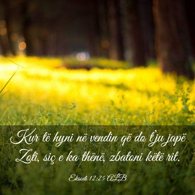 Picture 03 - Eksodi 12:25 ALB - Kur të hyni në vendin që do t’ju japë Zoti, - Bible Verse Picture