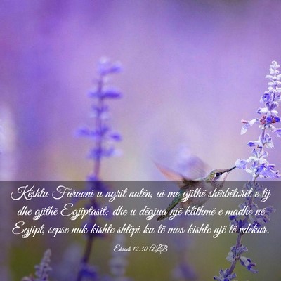 Picture 03 - Eksodi 12:30 ALB - Kështu Faraoni u ngrit natën, ai me gjithë - Bible Verse Picture