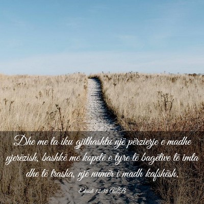 Picture 03 - Eksodi 12:38 ALB - Dhe me ta iku gjithashtu një përzierje e madhe - Bible Verse Picture