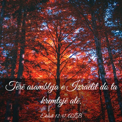 Picture 03 - Eksodi 12:47 ALB - Tërë asambleja e Izraelit do ta kremtojë - Bible Verse Picture