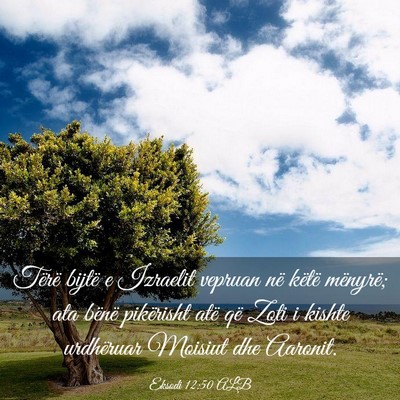 Picture 03 - Eksodi 12:50 ALB - Tërë bijtë e Izraelit vepruan në këtë - Bible Verse Picture