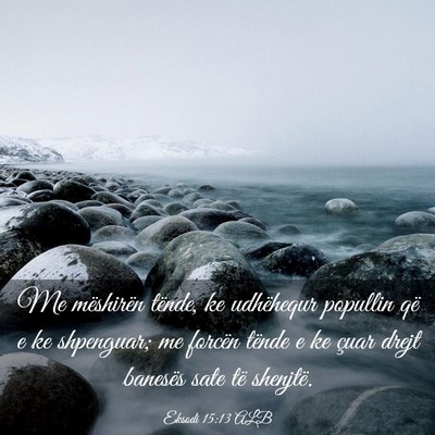 Picture 03 - Eksodi 15:13 ALB - Me mëshirën tënde, ke udhëhequr popullin që - Bible Verse Picture