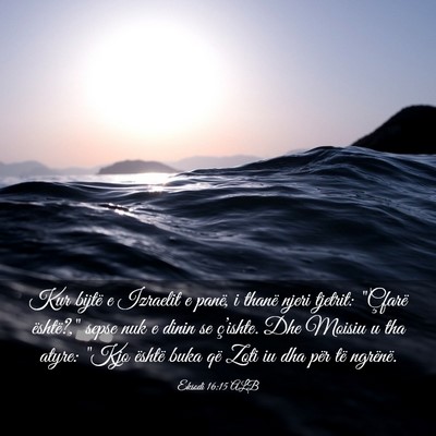 Picture 03 - Eksodi 16:15 ALB - Kur bijtë e Izraelit e panë, i thanë njeri - Bible Verse Picture