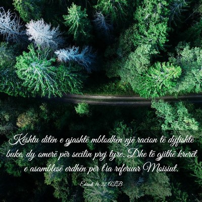 Picture 03 - Eksodi 16:22 ALB - Kështu ditën e gjashtë mblodhën një racion - Bible Verse Picture