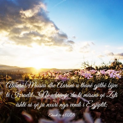 Picture 03 - Eksodi 16:6 ALB - Atëherë Moisiu dhe Aaroni u thanë gjithë - Bible Verse Picture