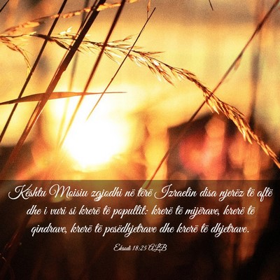 Picture 03 - Eksodi 18:25 ALB - Kështu Moisiu zgjodhi në tërë Izraelin disa - Bible Verse Picture