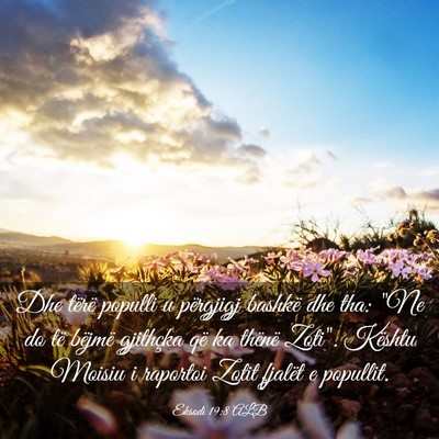 Picture 03 - Eksodi 19:8 ALB - Dhe tërë populli u përgjigj bashkë dhe tha: - Bible Verse Picture