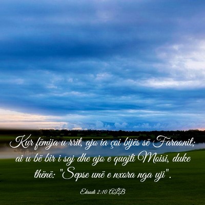 Picture 03 - Eksodi 2:10 ALB - Kur fëmija u rrit, ajo ia çoi bijës së - Bible Verse Picture