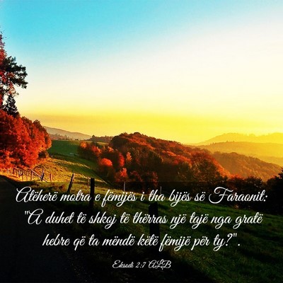 Picture 03 - Eksodi 2:7 ALB - Atëherë motra e fëmijës i tha bijës së - Bible Verse Picture