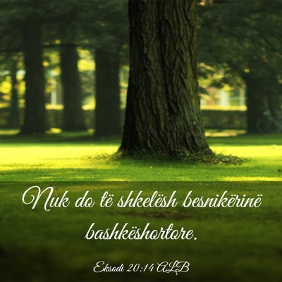 Picture 03 - Eksodi 20:14 ALB - Nuk do të shkelësh besnikërinë - Bible Verse Picture
