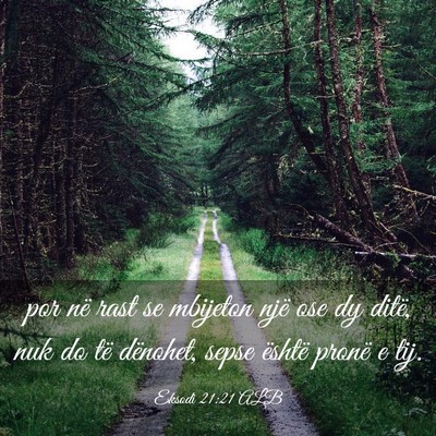Picture 03 - Eksodi 21:21 ALB - por në rast se mbijeton një ose dy ditë, nuk - Bible Verse Picture