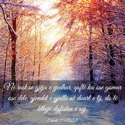 Picture 03 - Eksodi 22:4 ALB - Në rast se gjëja e vjedhur, qoftë ka ose gomar - Bible Verse Picture