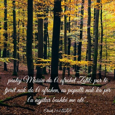 Picture 03 - Eksodi 24:2 ALB - pastaj Moisiu do t’i afrohet Zotit; por të - Bible Verse Picture