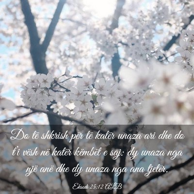 Picture 03 - Eksodi 25:12 ALB - Do të shkrish për të katër unaza ari dhe do - Bible Verse Picture