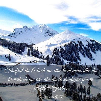 Picture 03 - Eksodi 25:28 ALB - Shufrat do t’i bësh me dru të akacies dhe do - Bible Verse Picture