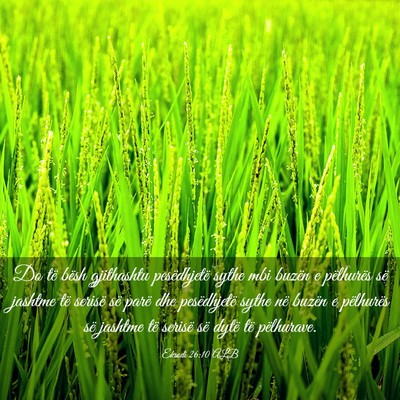 Picture 03 - Eksodi 26:10 ALB - Do të bësh gjithashtu pesëdhjetë sythe mbi - Bible Verse Picture