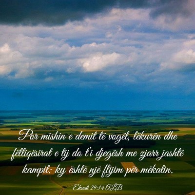 Picture 03 - Eksodi 29:14 ALB - Por mishin e demit të vogël, lëkurën dhe - Bible Verse Picture