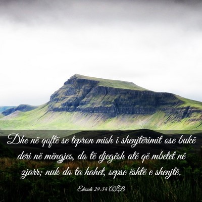 Picture 03 - Eksodi 29:34 ALB - Dhe në qoftë se tepron mish i shenjtërimit ose - Bible Verse Picture