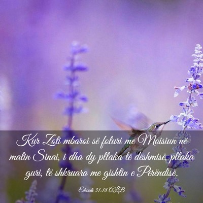 Picture 03 - Eksodi 31:18 ALB - Kur Zoti mbaroi së foluri me Moisiun në malin - Bible Verse Picture
