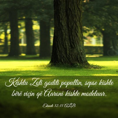 Picture 03 - Eksodi 32:35 ALB - Kështu Zoti goditi popullin, sepse kishte bërë - Bible Verse Picture