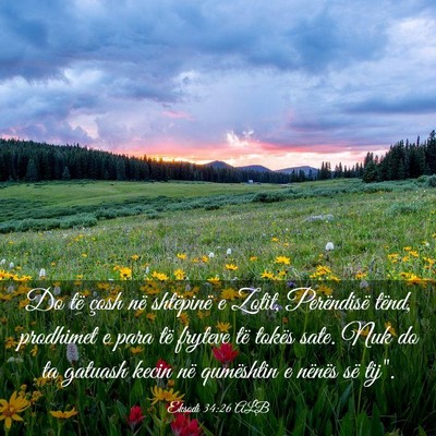 Picture 03 - Eksodi 34:26 ALB - Do të çosh në shtëpinë e Zotit, Perëndisë - Bible Verse Picture