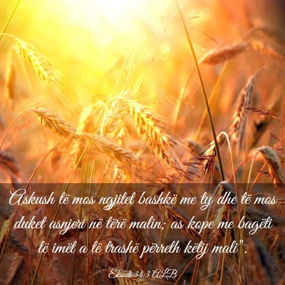 Picture 03 - Eksodi 34:3 ALB - Askush të mos ngjitet bashkë me ty dhe të mos - Bible Verse Picture
