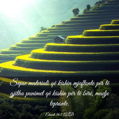 Picture 03 - Eksodi 36:7 ALB - Sepse materiali që kishin mjaftonte për të - Bible Verse Picture