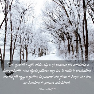 Picture 03 - Eksodi 36:8 ALB - Tërë njerëzit e aftë, midis atyre që punonin - Bible Verse Picture