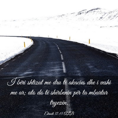 Picture 03 - Eksodi 37:15 ALB - I bëri shtizat me dru të akacies dhe i veshi me - Bible Verse Picture