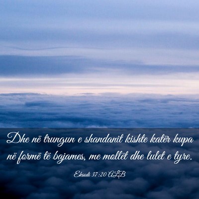 Picture 03 - Eksodi 37:20 ALB - Dhe në trungun e shandanit kishte katër kupa - Bible Verse Picture