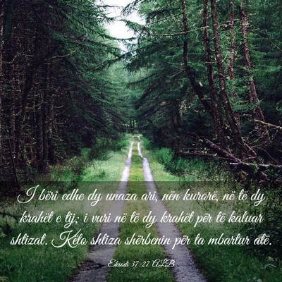 Picture 03 - Eksodi 37:27 ALB - I bëri edhe dy unaza ari, nën kurorë, në të - Bible Verse Picture