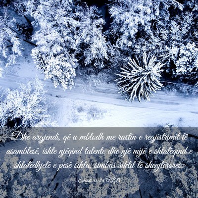 Picture 03 - Eksodi 38:25 ALB - Dhe argjendi, që u mblodh me rastin e - Bible Verse Picture