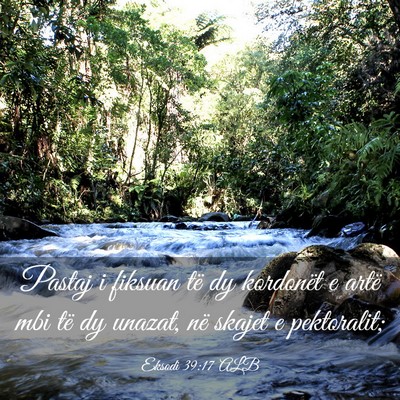 Picture 03 - Eksodi 39:17 ALB - Pastaj i fiksuan të dy kordonët e artë mbi të - Bible Verse Picture