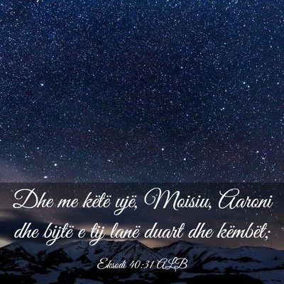 Picture 03 - Eksodi 40:31 ALB - Dhe me këtë ujë, Moisiu, Aaroni dhe bijtë e - Bible Verse Picture