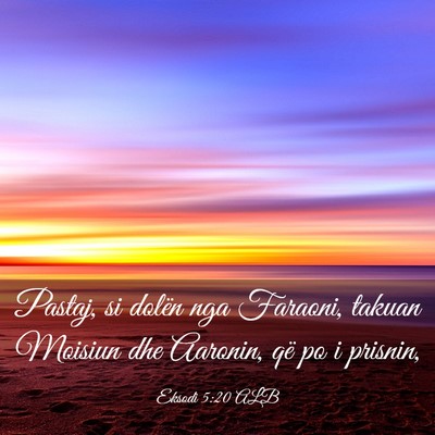 Picture 03 - Eksodi 5:20 ALB - Pastaj, si dolën nga Faraoni, takuan Moisiun dhe - Bible Verse Picture