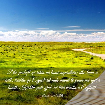 Picture 03 - Eksodi 7:21 ALB - Dhe peshqit që ishin në lumë ngordhën; dhe - Bible Verse Picture