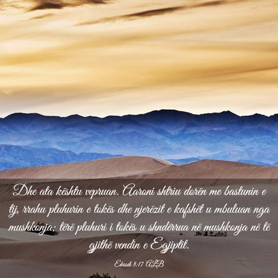 Picture 03 - Eksodi 8:17 ALB - Dhe ata kështu vepruan. Aaroni shtriu dorën me - Bible Verse Picture