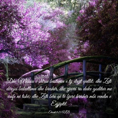 Picture 03 - Eksodi 9:23 ALB - Dhe Moisiu e shtriu bastunin e tij drejt qiellit; - Bible Verse Picture