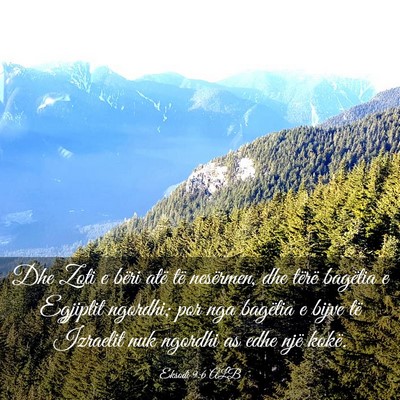 Picture 03 - Eksodi 9:6 ALB - Dhe Zoti e bëri atë të nesërmen, dhe tërë - Bible Verse Picture