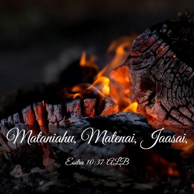 Picture 03 - Esdra 10:37 ALB - Mataniahu, Matenai, - Bible Verse Picture