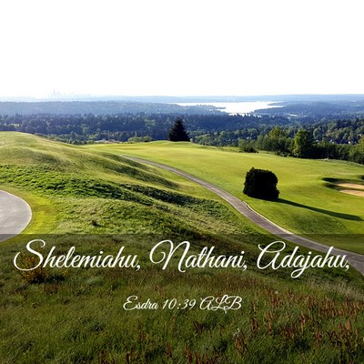 Picture 03 - Esdra 10:39 ALB - Shelemiahu, Nathani, - Bible Verse Picture