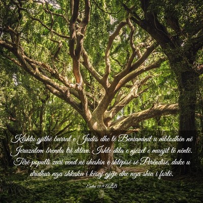Picture 03 - Esdra 10:9 ALB - Kështu gjithë burrat e Judës dhe të - Bible Verse Picture
