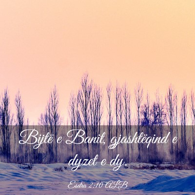 Picture 03 - Esdra 2:10 ALB - Bijtë e Banit, gjashtëqind e dyzet e - Bible Verse Picture