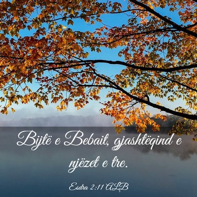 Picture 03 - Esdra 2:11 ALB - Bijtë e Bebait, gjashtëqind e njëzet e - Bible Verse Picture