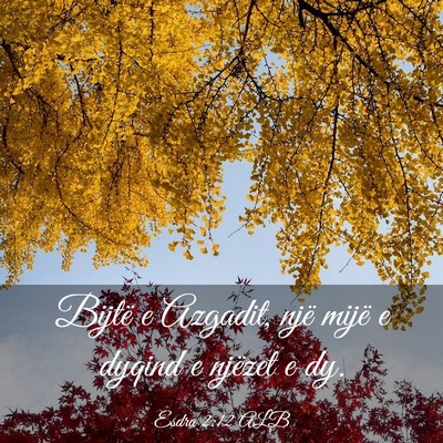 Picture 03 - Esdra 2:12 ALB - Bijtë e Azgadit, një mijë e dyqind e njëzet e - Bible Verse Picture