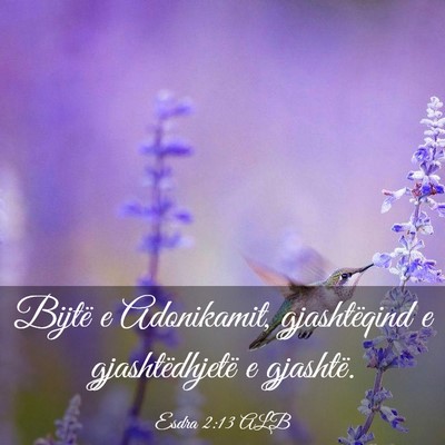 Picture 03 - Esdra 2:13 ALB - Bijtë e Adonikamit, gjashtëqind e - Bible Verse Picture